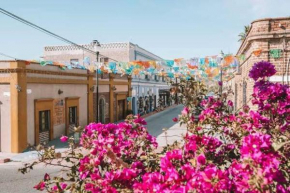Hermoso Departamento En El Corazon de Todos Santos